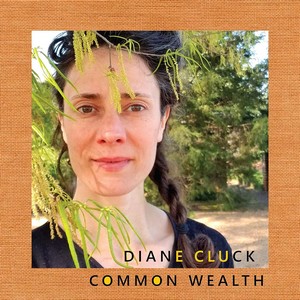 Diane Cluck - Common Wealth [10" Vinyl] (Vinyl)