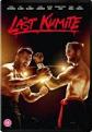 The Last Kumite [DVD]