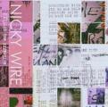 Nicky Wire - Nicky Wire (Manic Street Preachers) - I Killed the Zeitgeist (Music CD)