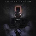 Chrome Canyon - Director (Vinyl)