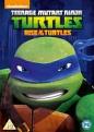 Teenage Mutant Ninja Turtles: Rise Of The Turtles