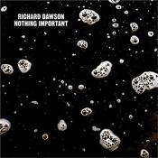 Richard Dawson - Nothing Important (Vinyl)