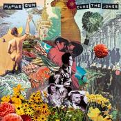 Mamas Gun - Cure The Jones (Vinyl)