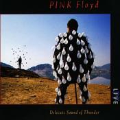 Pink Floyd - Delicate Sound of Thunder (Music CD)
