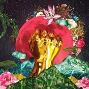 Rina Mushonga - In A Galaxy (Pink Edition) (Vinyl)