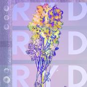 RYD - RYD (Vinyl)